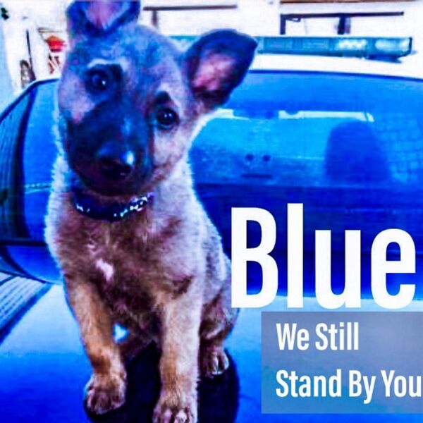 Cover art for Blue We Still Stand by You